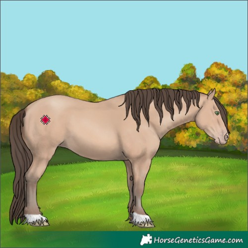 Horse Color:Amber Champagne 