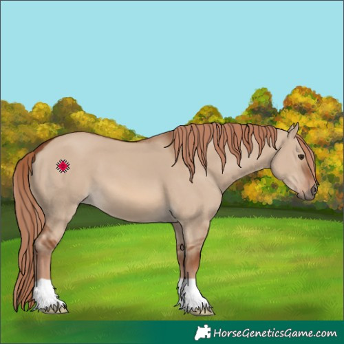 Horse Color:Red Dun 