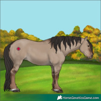 Horse Color:Liver Red Dun