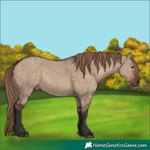 Horse Color:Liver Red Dun Brindle 