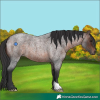 Horse Color:Brown Roan