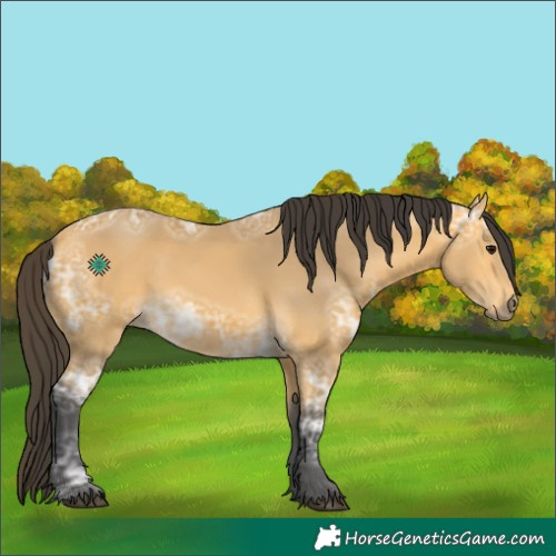 Horse Color:Buckskin Ice 