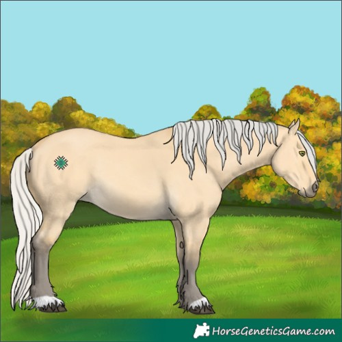 Horse Color:Silver Buckskin Dun Rabicano 