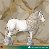 Horse Color:Buckskin Roan Pearl and Buckskin Roan Pearl Rabicano