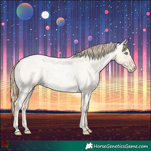 Horse Color:Buckskin Roan Pearl  and Smoky Blue Roan Pearl 