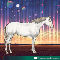 Horse Color:Buckskin Roan Pearl  and Smoky Blue Roan Pearl 