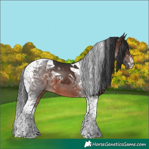 Horse Color:Brown Tobiano 