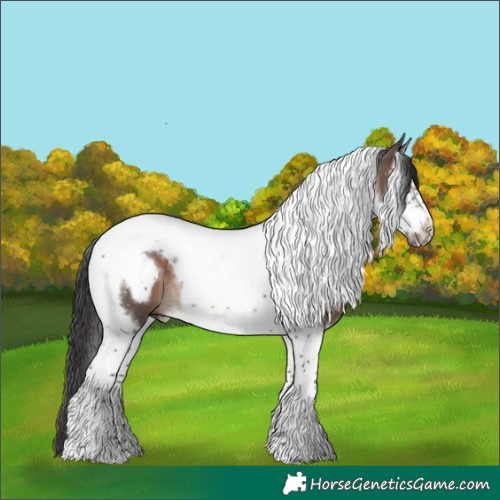 Horse Color:Brown Splash Tobiano Frame 