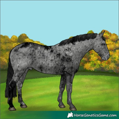 Horse Color:ERROR: UNKNOWN ANOMALY