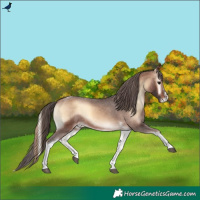 Horse Color:Brown Onyx Tobiano Appaloosa
