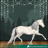 Horse Color:White Spotted Cremello Dun Tobiano