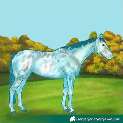 Horse Color:Thunderstruck Bay Ice Onyx Near Leopard 