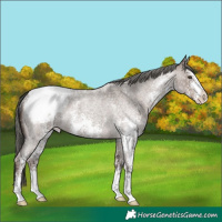 Horse Color:Liver Red Dun Roan Mushroom Sabino Snowcap Rabicano Brindle