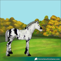 Horse Color:ERROR: UNKNOWN ANOMALY
