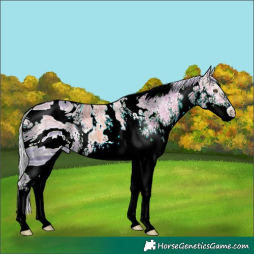 Horse Color:ERROR: UNKNOWN ANOMALY