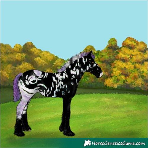 Horse Color:ERROR: UNKNOWN ANOMALY