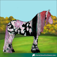 Horse Color:ERROR: UNKNOWN ANOMALY