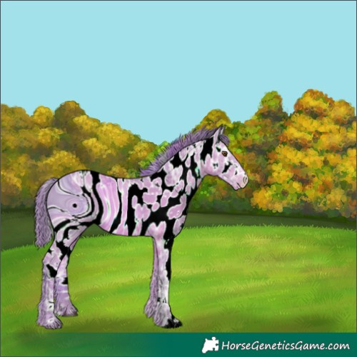 Horse Color:ERROR: UNKNOWN ANOMALY