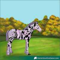 Horse Color:ERROR: UNKNOWN ANOMALY