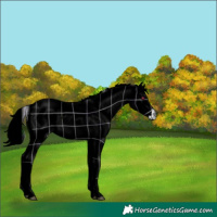 Horse Color:Plaid Liver Red Onyx Chinchilla