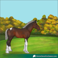 Horse Color:Silver Brown Tobiano Rabicano