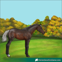 Horse Color:Silver Brown