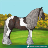 Horse Color:Silver Brown Tobiano Rabicano