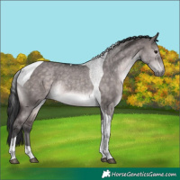 Horse Color:Platinum Brown Dun Tobiano