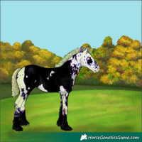 Horse Color:ERROR: UNKNOWN ANOMALY