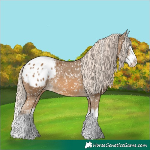 Horse Color:Chocolate Palomino Sabino Splash Blanket 