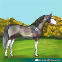 Horse Color:Nacre Blue Onyx Splash Rabicano