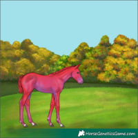 Horse Color:Watercolor Liver Chestnut