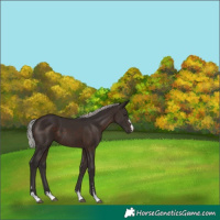 Horse Color:Silver Brown