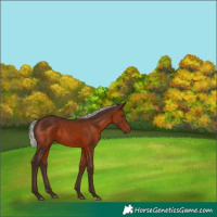 Horse Color:Silver Brown