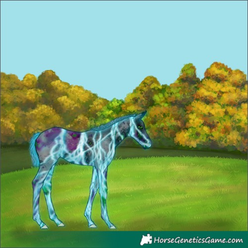 Horse Color:ERROR: UNKNOWN ANOMALY