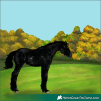 Horse Color:ERROR: UNKNOWN ANOMALY