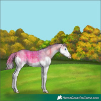 Horse Color:Platinum Watercolor Plaid  Blue Onyx Splash 