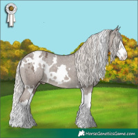 Horse Color:White Spotted Silver Black Splash Varnish