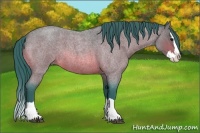 Horse Color:Watercolor Bay Roan Splash