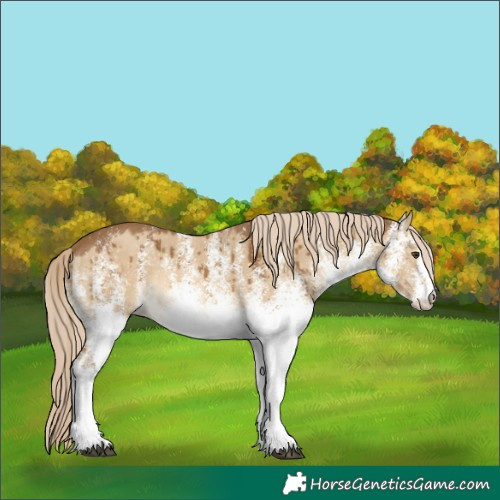 Horse Color:White Spotted Chocolate Palomino Dun Brindle 