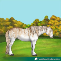 Horse Color:White Spotted Chocolate Palomino Dun Brindle 