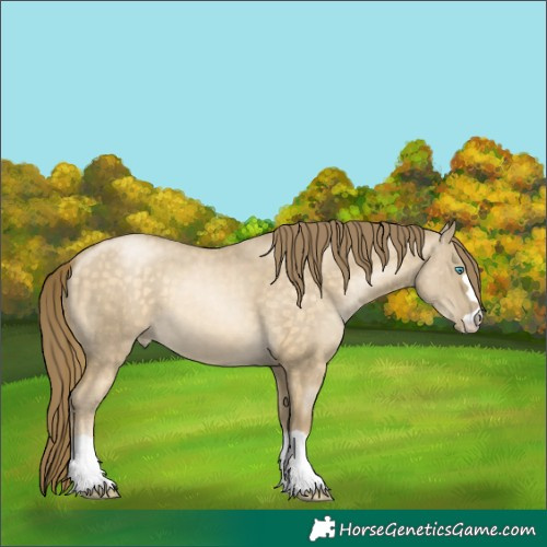 Horse Color:Buckskin Pearl Dun Brindle 