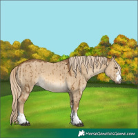 Horse Color:Chocolate Palomino Dun Brindle 