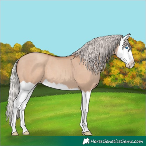 Horse Color:Silver Classic Champagne Dun Splash 