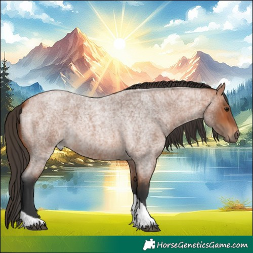 Horse Color:Bay Roan Tobiano 