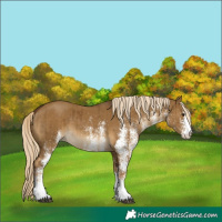 Horse Color:White Spotted Chocolate Palomino Dun Brindle 