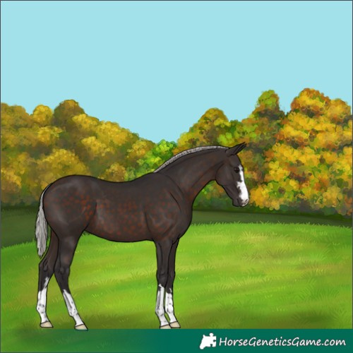 Horse Color:Silver Brown 