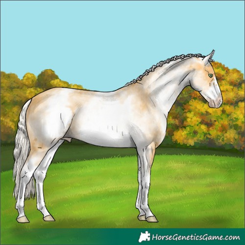 Horse Color:White Spotted Silver Amber Cream Champagne Frame 