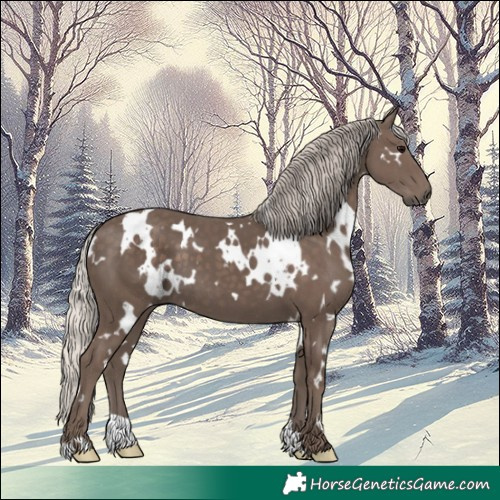 Horse Color:White Spotted Silver Black 