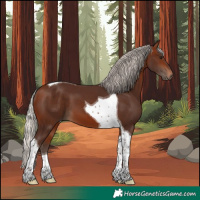 Horse Color:Silver Brown Tobiano 